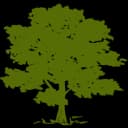 Community Health Systems, Inc.