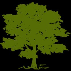 Community Health Systems, Inc.