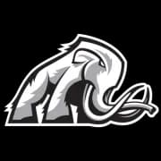 Mammoth Energy Services, Inc.